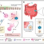 Inflammatory Bowel Disease Treatment Market Gains New Direction as Study Uncovers Hidden Gut Defect Before Flare-Ups
