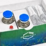 Wearable Cell Therapy Technologies Gain New Manufacturing Option as Bracco Expands BubbleGen Portfolio