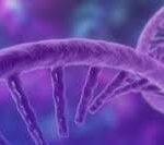 IDT and Aldevron Launch Cas9 mRNA Offering to Support Gene Editing Research