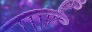 IDT and Aldevron Launch Cas9 mRNA Offering to Support Gene Editing Research