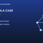 Graphic: Abuja Ebola case shown as a contact-tracing network of linked nodes