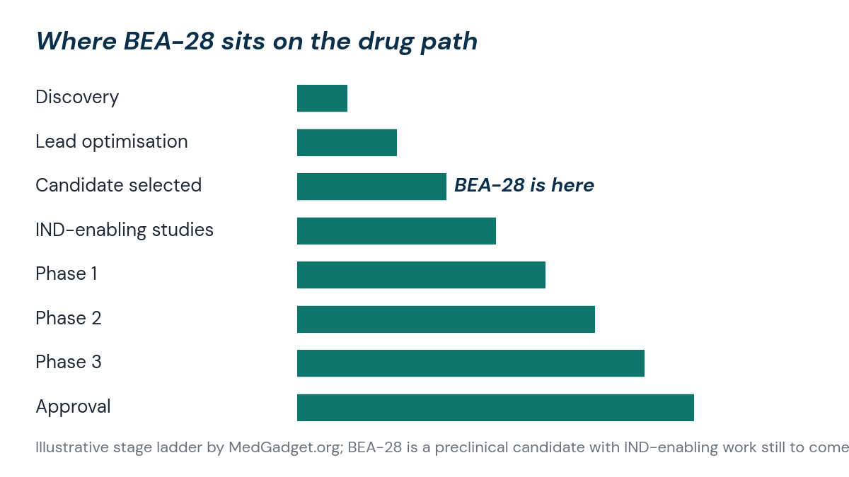 Illustrative bar chart of eight drug development stages from discovery to approval, with BEA-28 at the candidate selected stage, third of eight