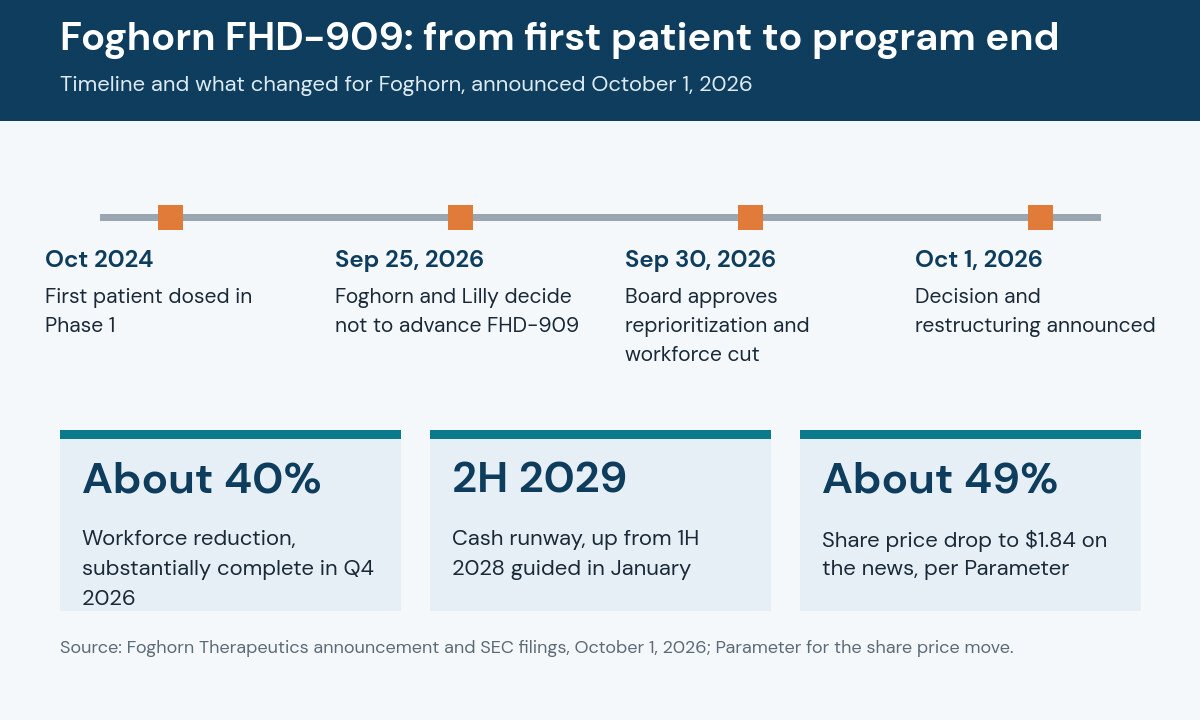 Timeline of the Foghorn FHD-909 program: first patient dosed October 2024, decision not to advance September 25, 2026, board approval September 30 and announcement October 1, with about 40% workforce reduction, cash runway into the second half of 2029 and a share price drop of about 49%