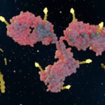 Marsico Pancreatic Cancer Initiative Expands Multimodal Dataset Across Leading Institutions