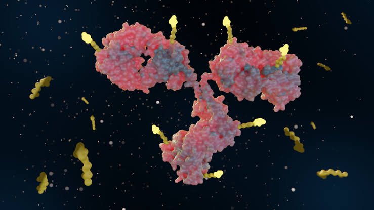 Marsico Pancreatic Cancer Initiative Expands Multimodal Dataset Across Leading Institutions